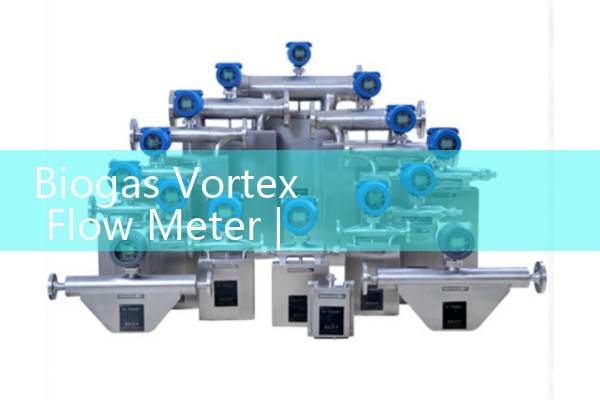 Biogas vortex flowmeter
